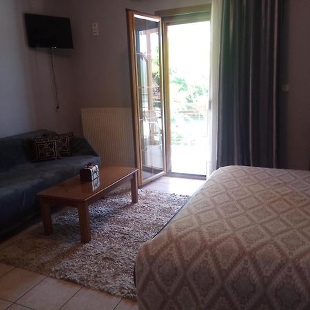 Zisis Garden Studios Ioannina Eksteriør billede