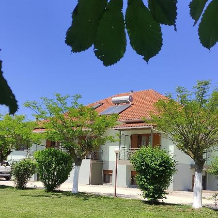 Zisis Garden Studios Ioannina Eksteriør billede