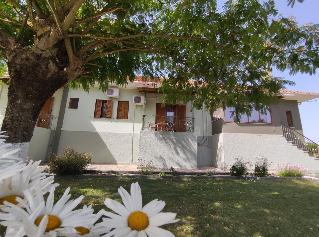 Zisis Garden Studios Ioannina Eksteriør billede
