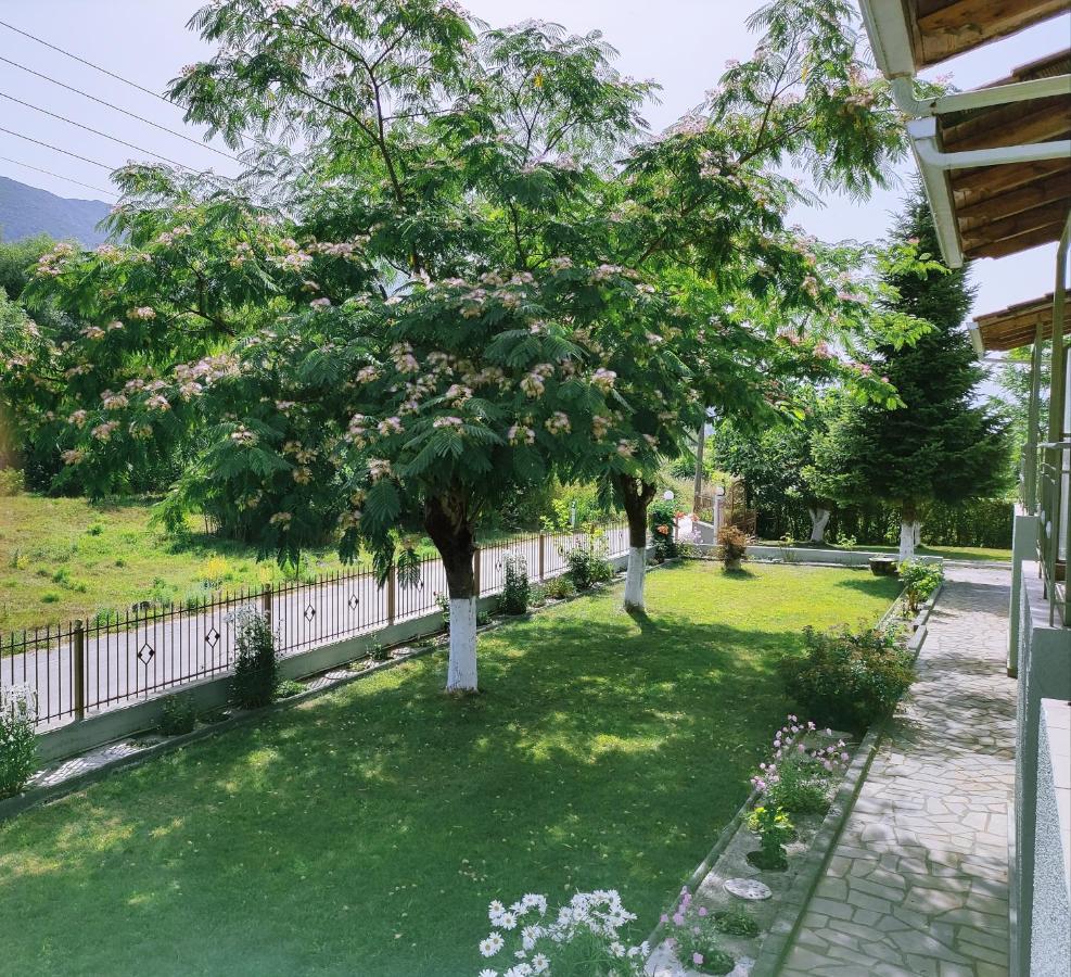 Zisis Garden Studios Ioannina Eksteriør billede