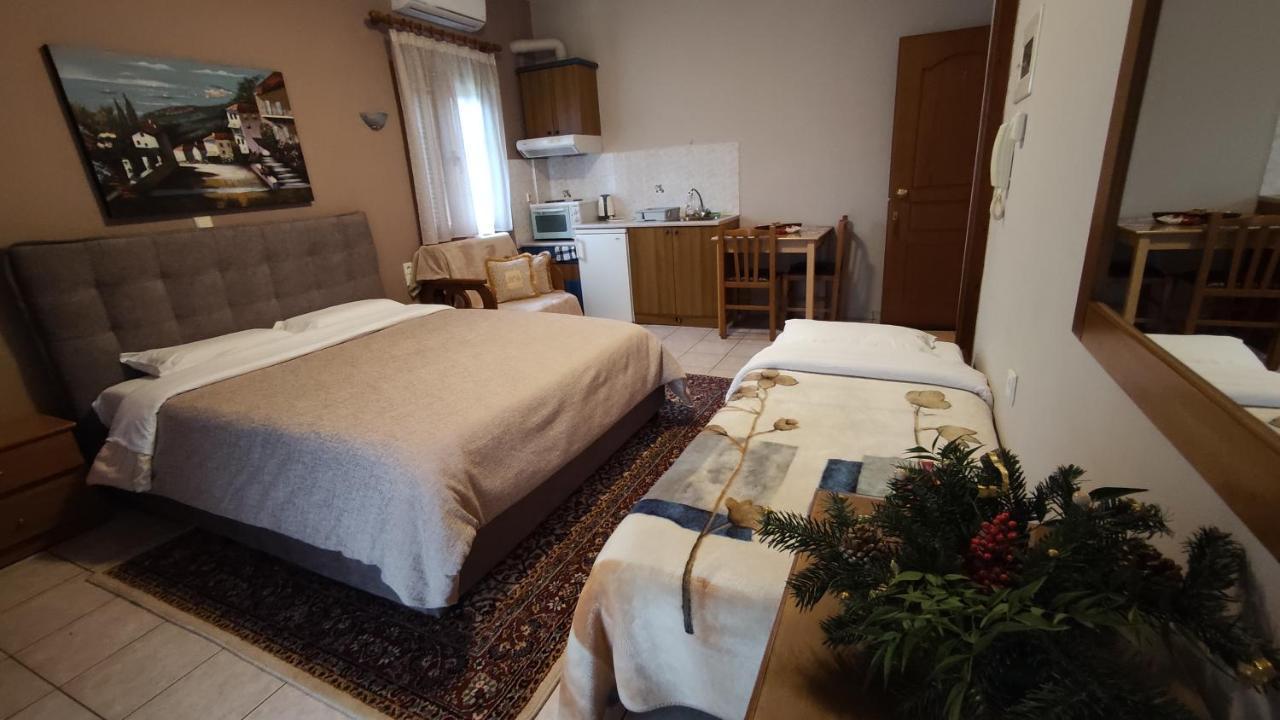 Zisis Garden Studios Ioannina Eksteriør billede