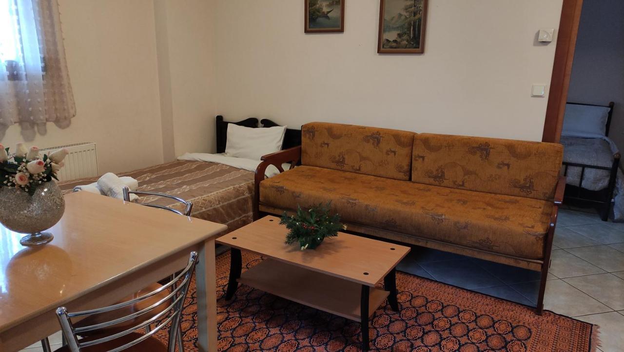 Zisis Garden Studios Ioannina Eksteriør billede