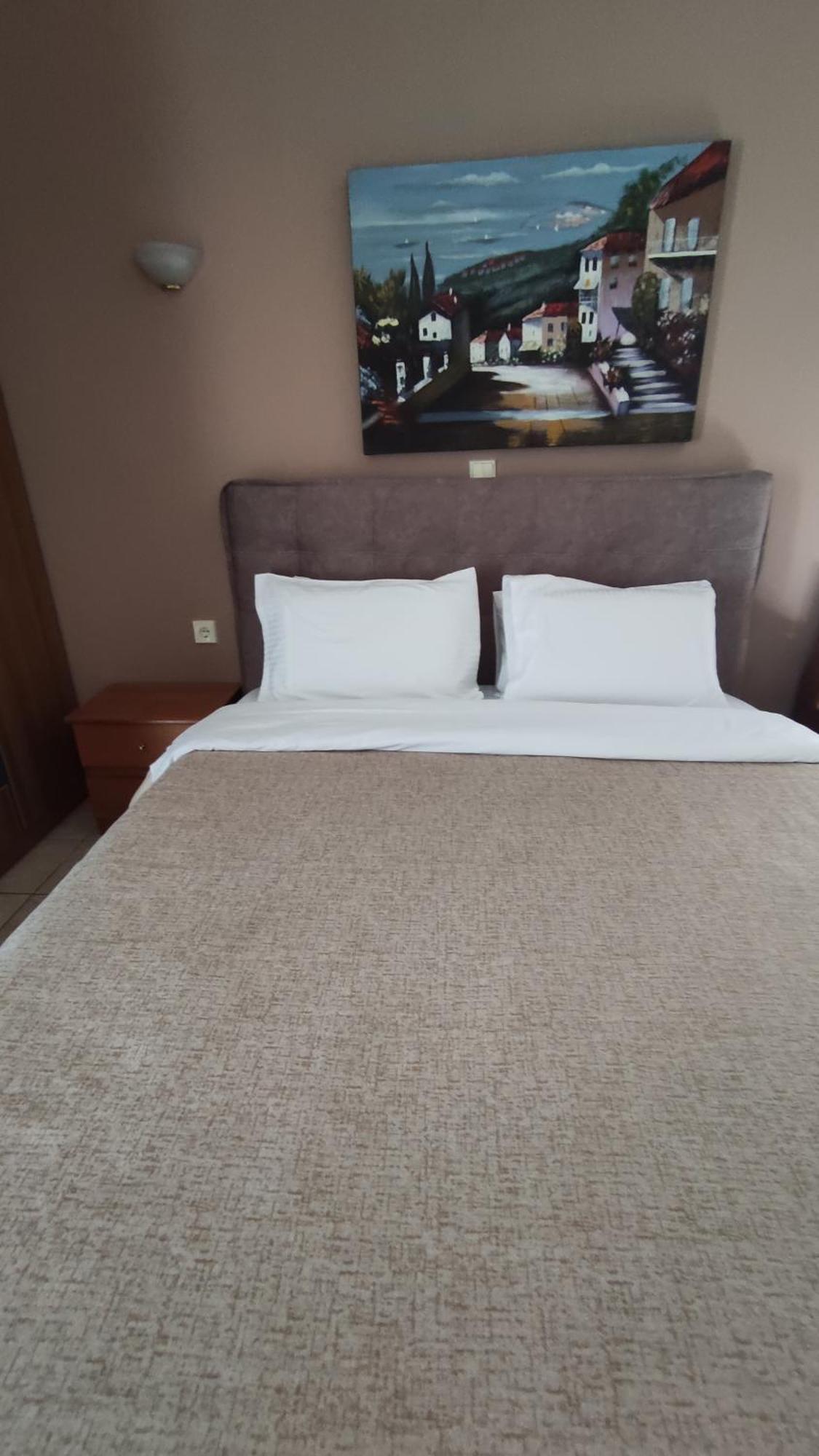 Zisis Garden Studios Ioannina Værelse billede