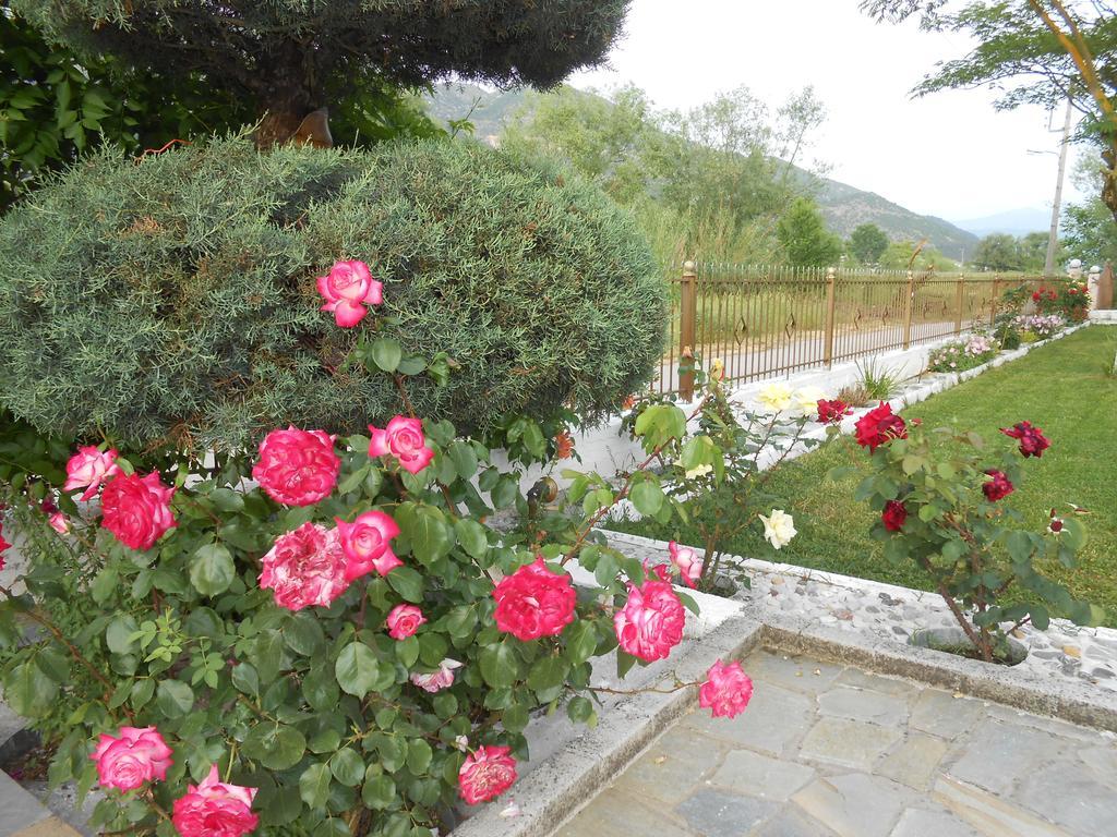 Zisis Garden Studios Ioannina Eksteriør billede
