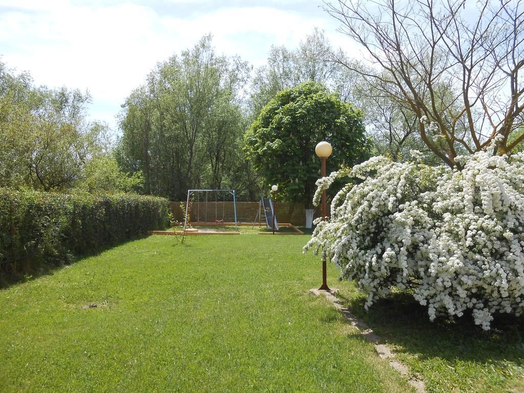 Zisis Garden Studios Ioannina Eksteriør billede