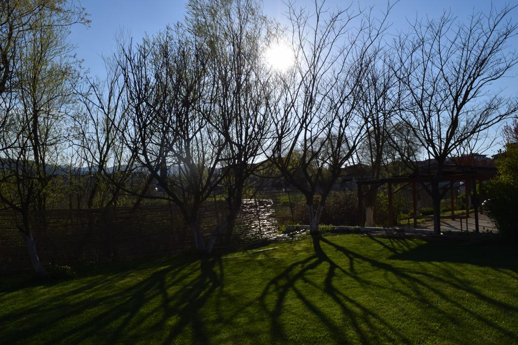 Zisis Garden Studios Ioannina Eksteriør billede