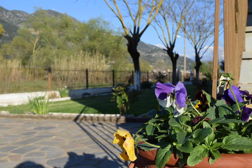 Zisis Garden Studios Ioannina Eksteriør billede