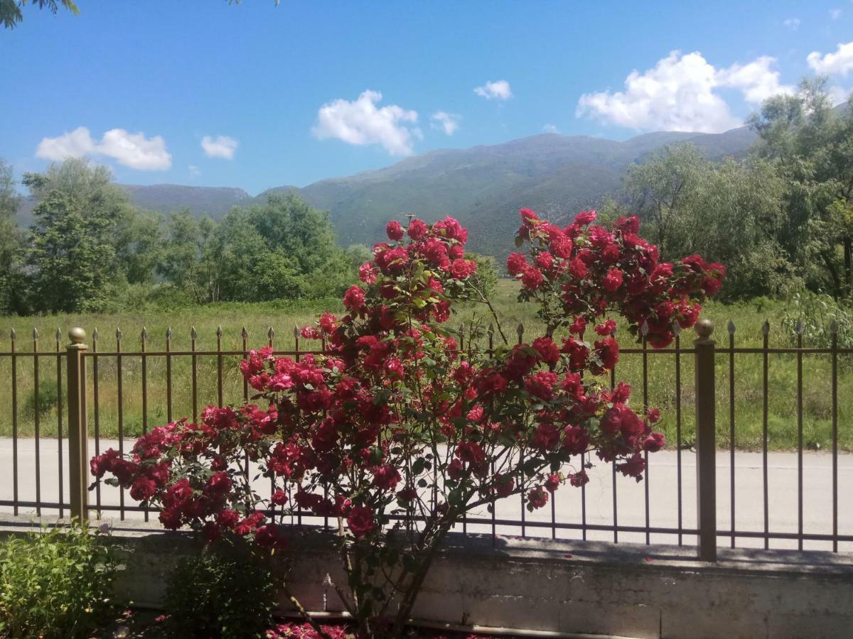 Zisis Garden Studios Ioannina Eksteriør billede