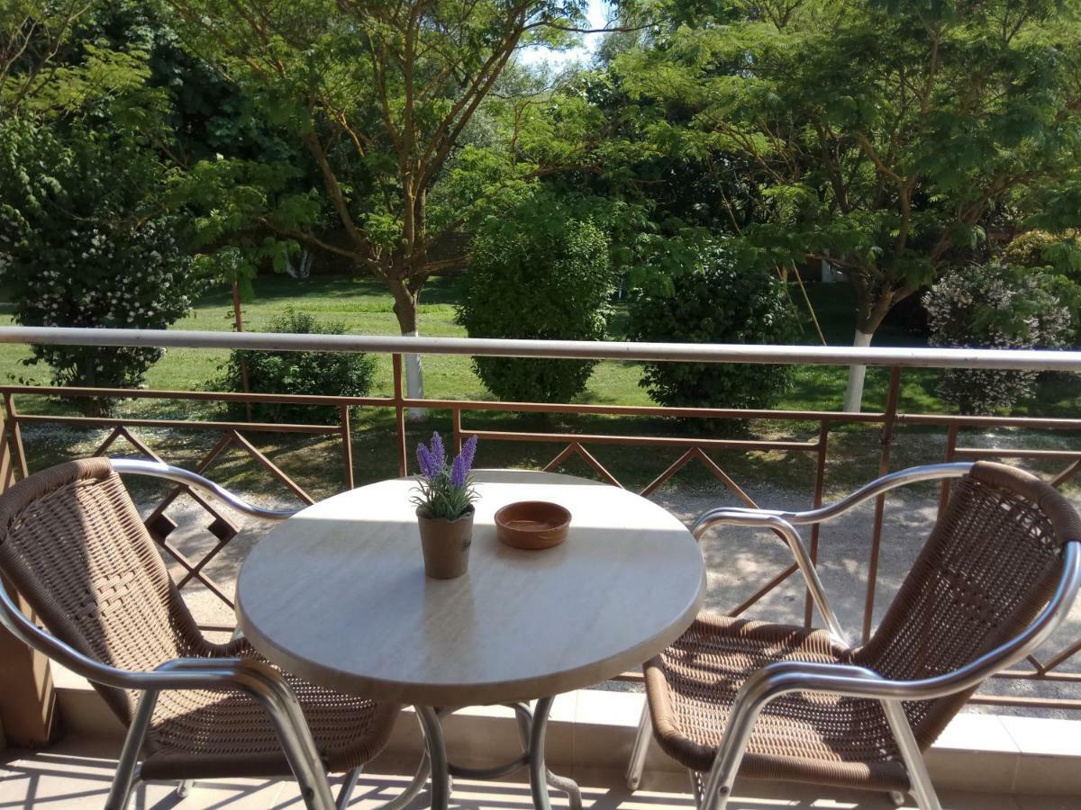 Zisis Garden Studios Ioannina Eksteriør billede
