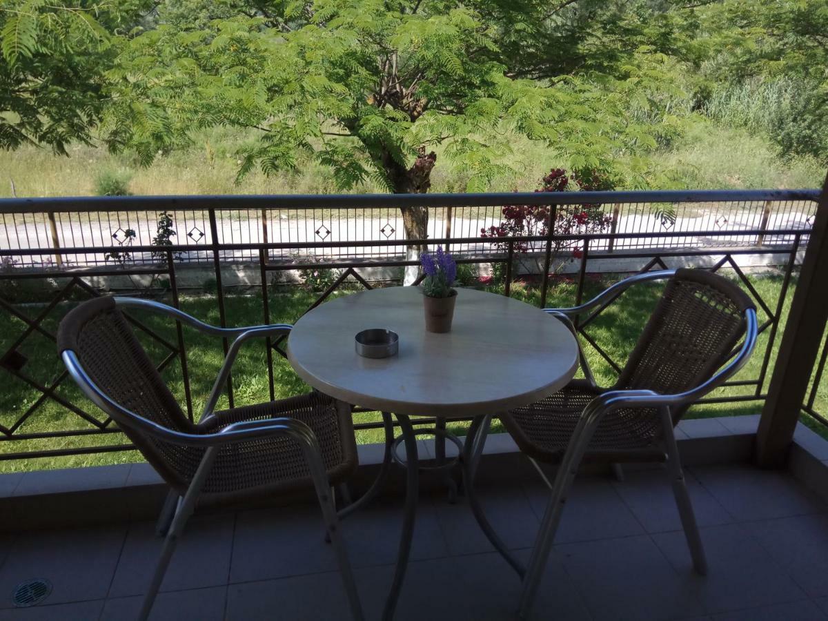 Zisis Garden Studios Ioannina Eksteriør billede